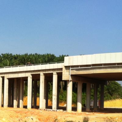 Seelong Bridge